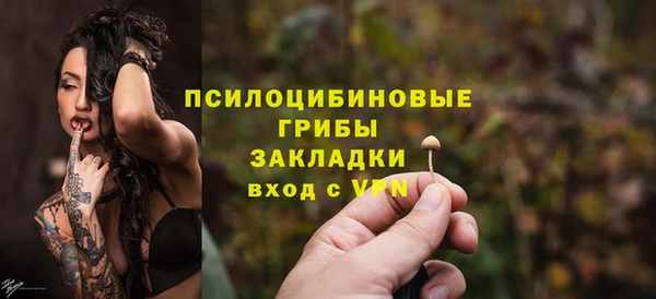 ешки Алексеевка